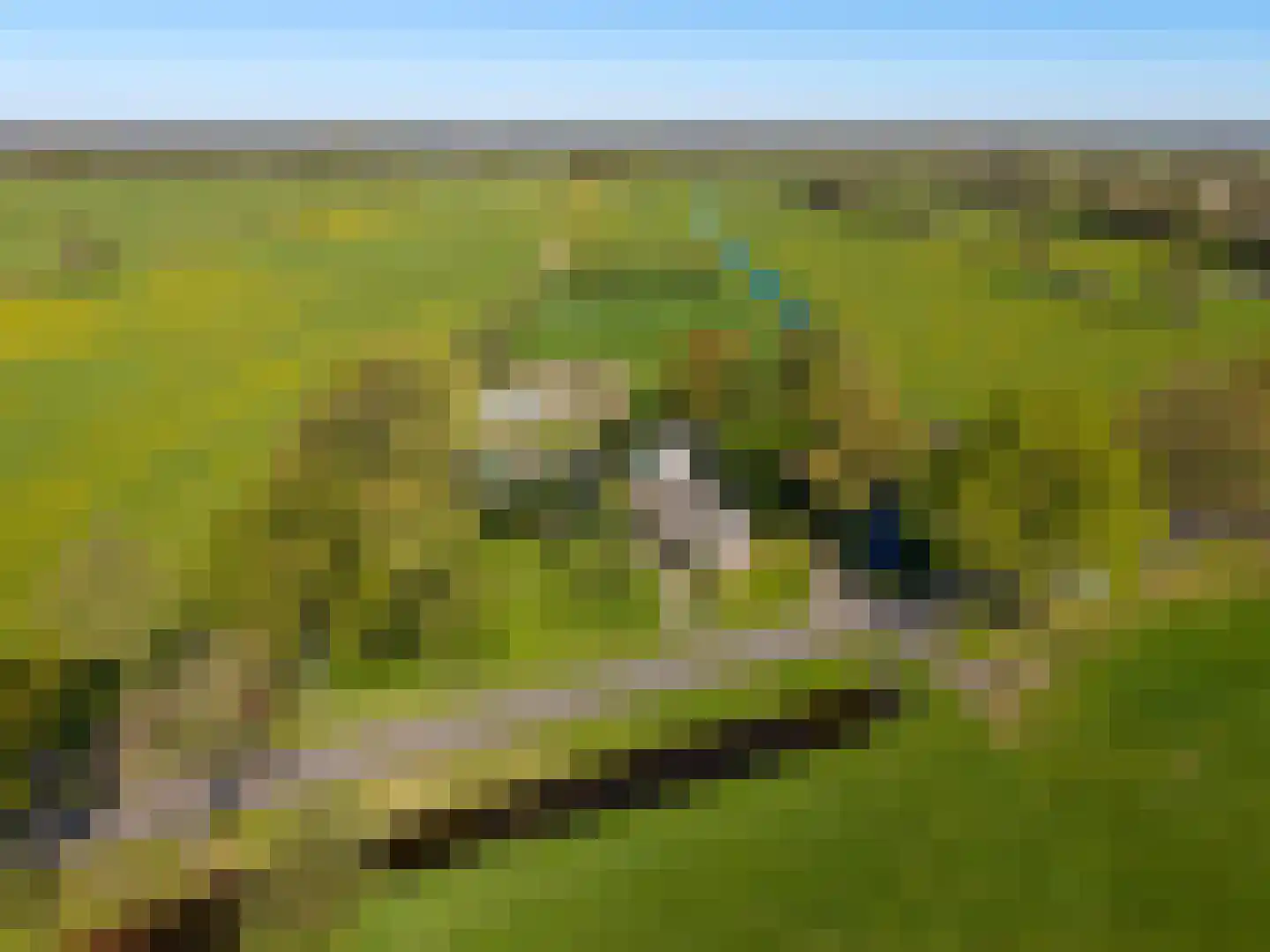 Hamrik 4 Marum thumbnail 9