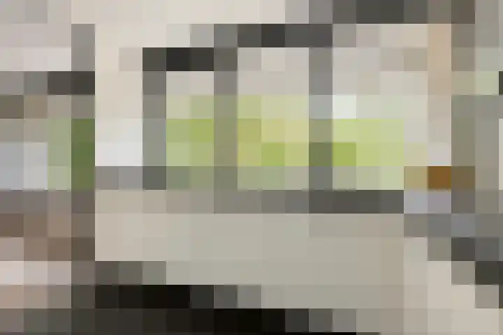 Hamrik 51 Winsum thumbnail 23