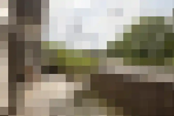 Hamrik 51 Winsum thumbnail 37