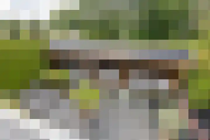 Hamrik 51 Winsum thumbnail 38