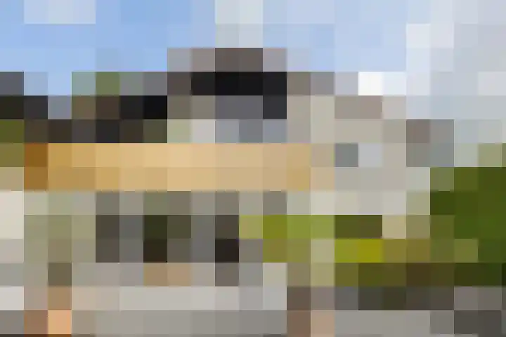 Hamrik 51 Winsum thumbnail 43