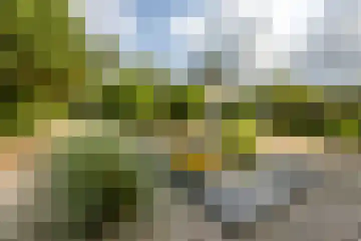 Hamrik 51 Winsum thumbnail 45