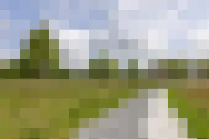 Hamrik 51 Winsum thumbnail 46