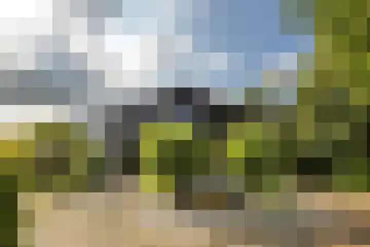 Hamrik 51 Winsum thumbnail 8