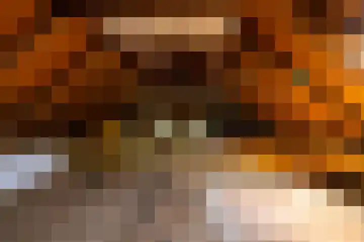 Hamrikkerweg 118 Nieuw Scheemda thumbnail 16