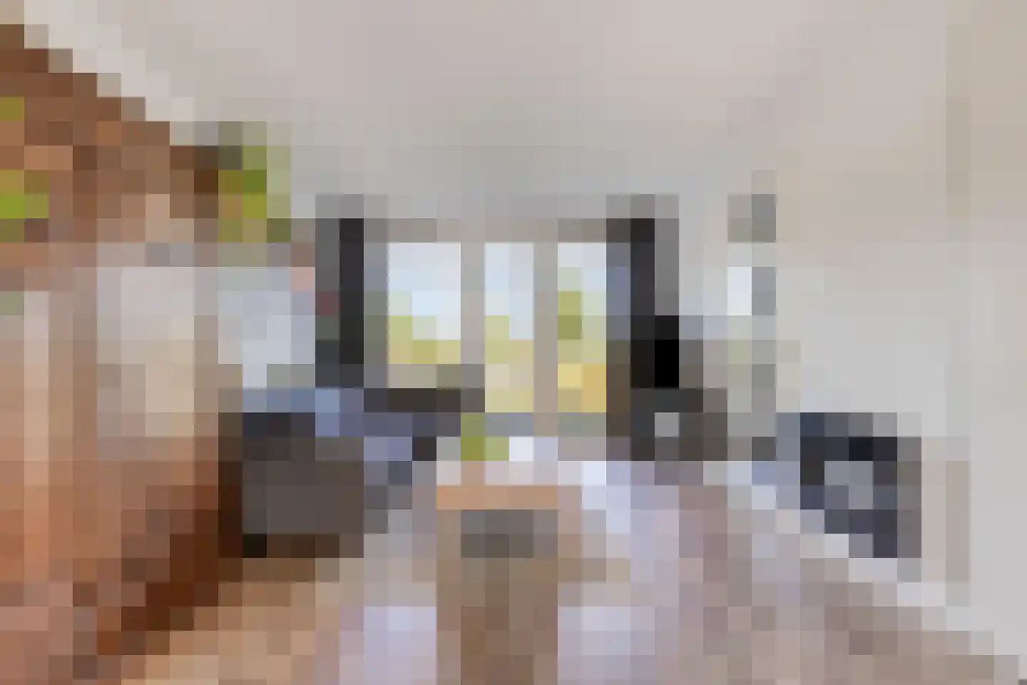 Hamsesticht 12 Dongen thumbnail 12