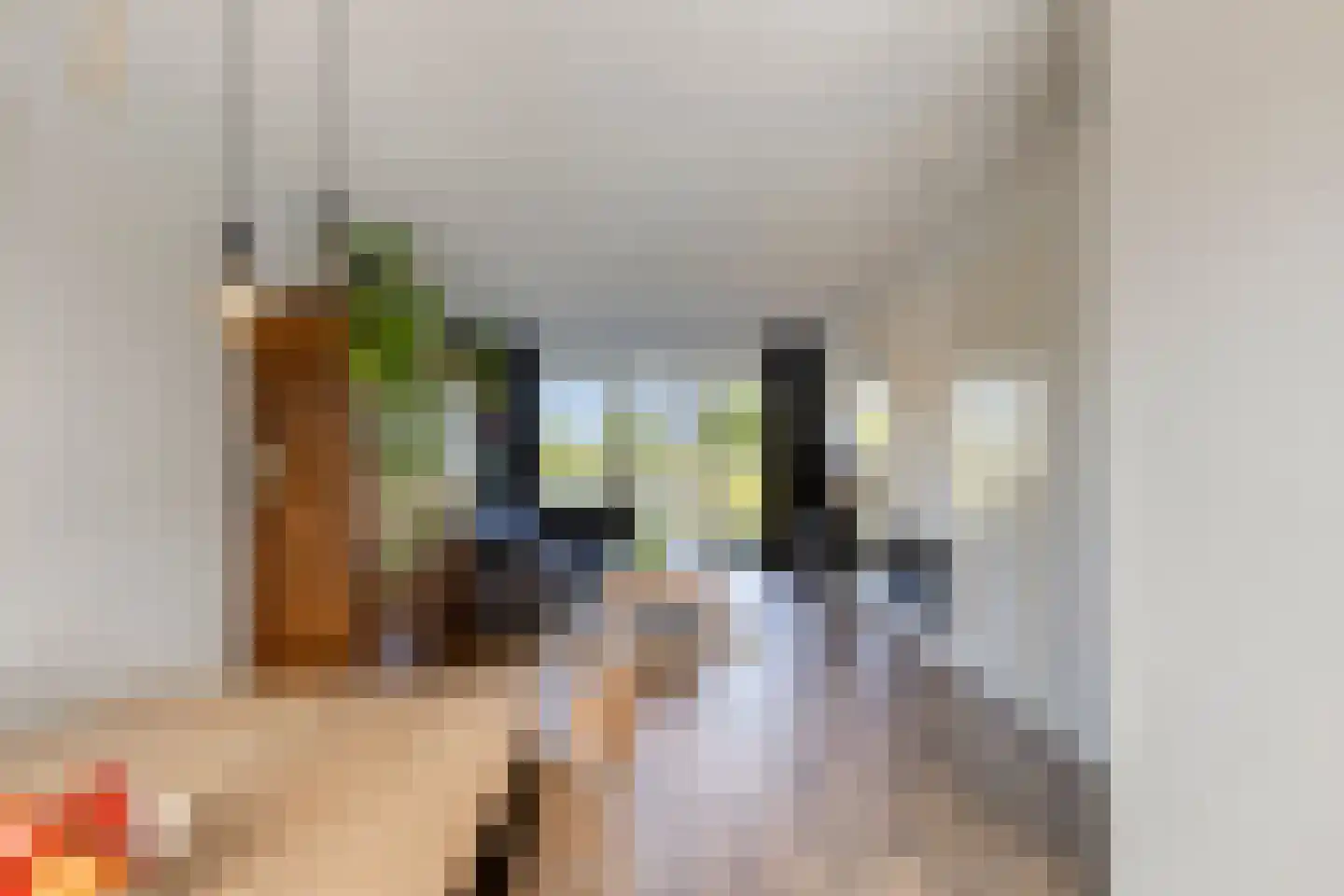 Hamsesticht 12 Dongen thumbnail 16