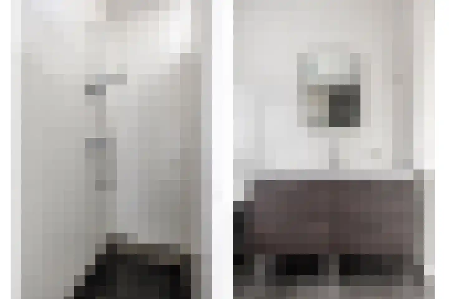 Hamsesticht 12 Dongen thumbnail 22