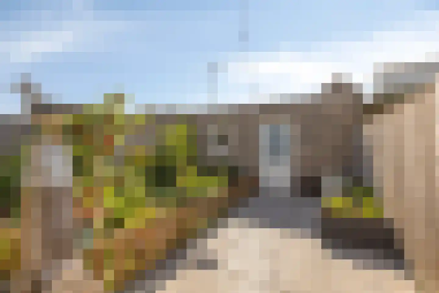 Hamsesticht 12 Dongen thumbnail 29