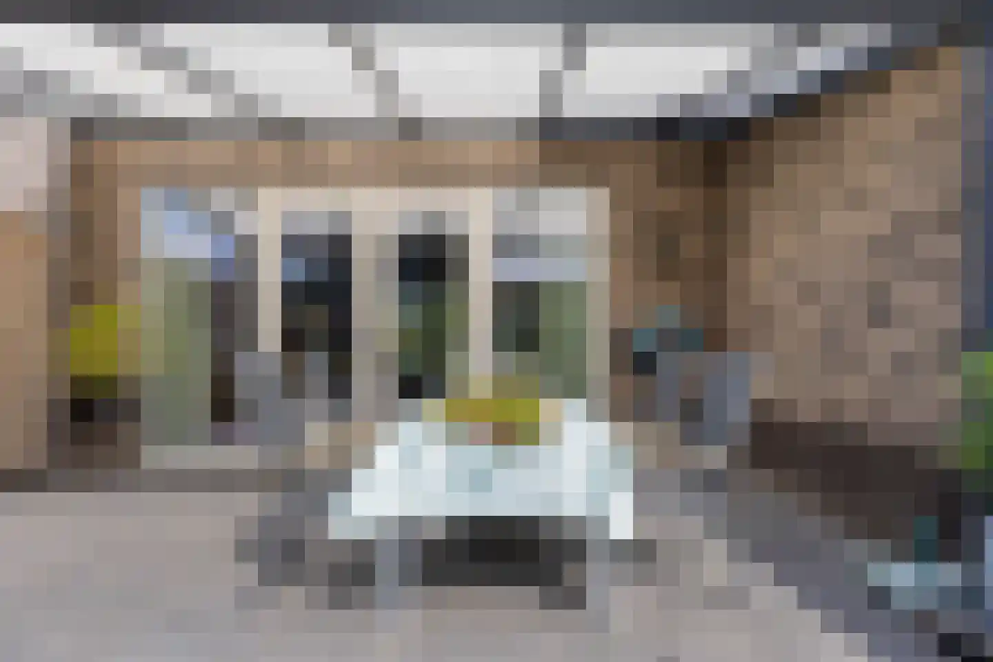Hamsesticht 12 Dongen thumbnail 31