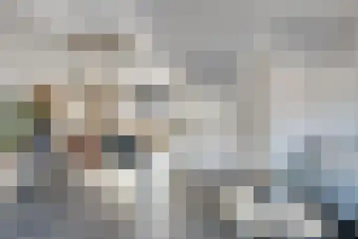 Hamsesticht 26 Dongen thumbnail 10