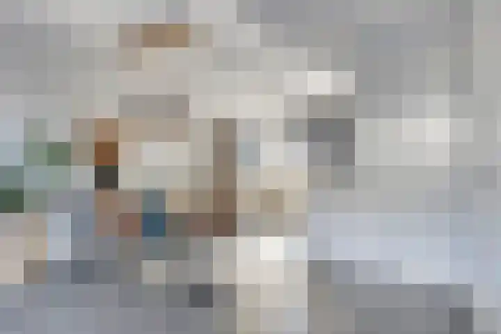 Hamsesticht 26 Dongen thumbnail 11