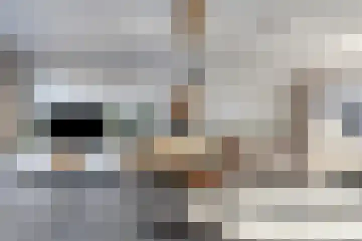 Hamsesticht 26 Dongen thumbnail 12