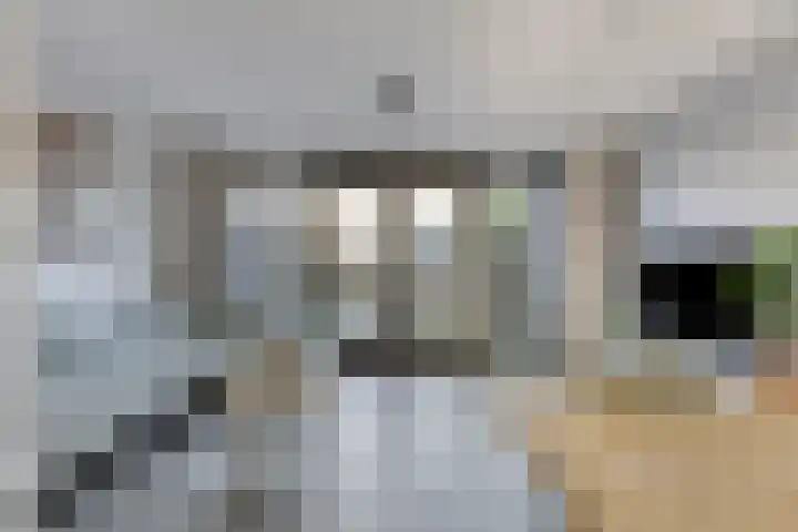 Hamsesticht 26 Dongen thumbnail 13