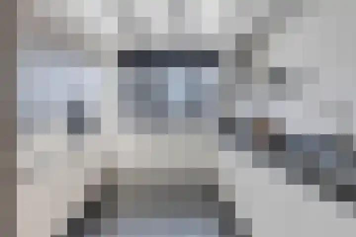 Hamsesticht 26 Dongen thumbnail 14