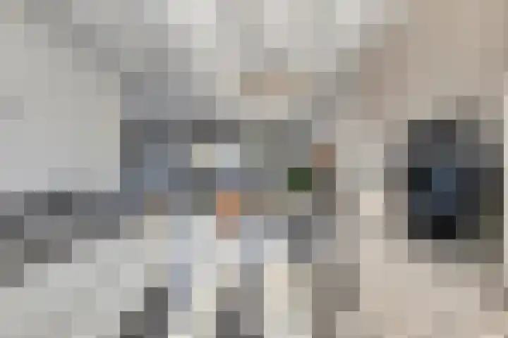 Hamsesticht 26 Dongen thumbnail 15