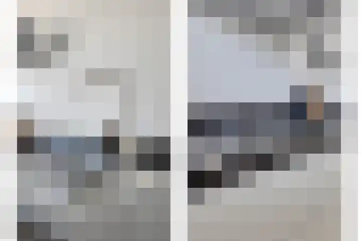 Hamsesticht 26 Dongen thumbnail 16