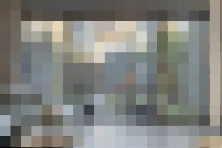 Hamsesticht 26 Dongen thumbnail 17
