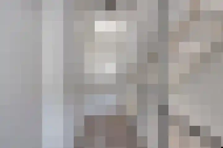 Hamsesticht 26 Dongen thumbnail 18