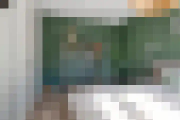 Hamsesticht 26 Dongen thumbnail 19