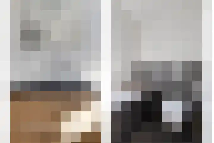 Hamsesticht 26 Dongen thumbnail 20