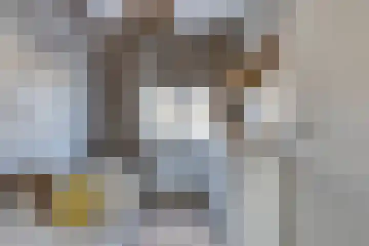Hamsesticht 26 Dongen thumbnail 23