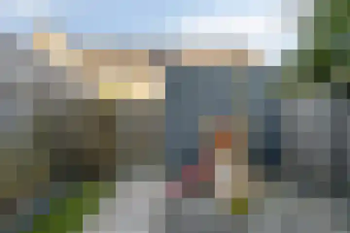 Hamsesticht 26 Dongen thumbnail 27