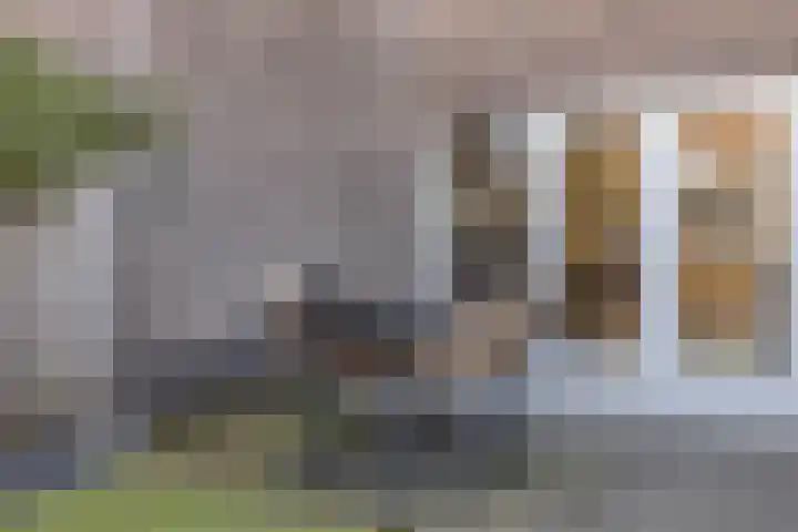 Hamsesticht 26 Dongen thumbnail 28