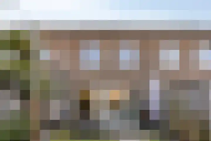 Hamsesticht 26 Dongen thumbnail 29