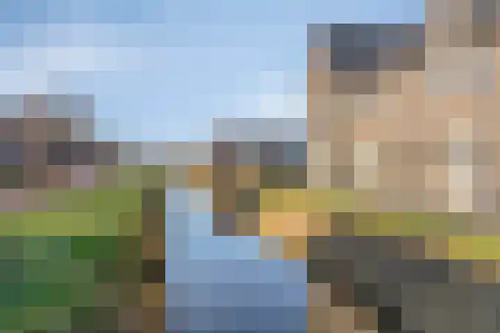 Hamsesticht 26 Dongen thumbnail 30