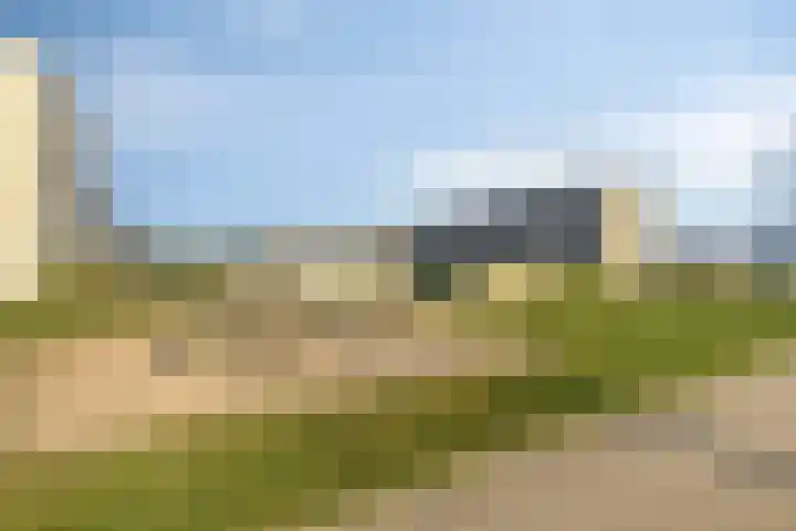 Hamsesticht 26 Dongen thumbnail 31