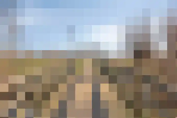 Hamsesticht 26 Dongen thumbnail 32