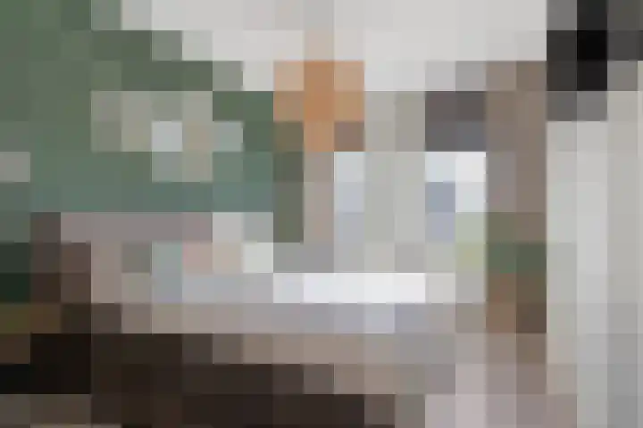 Hamsesticht 26 Dongen thumbnail 4