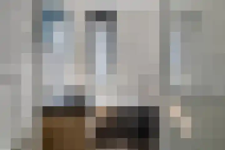 Hamsesticht 26 Dongen thumbnail 5