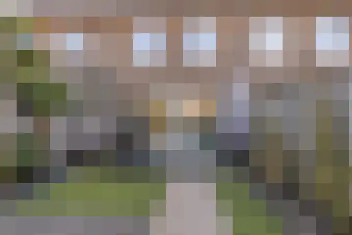 Hamsesticht 26 Dongen thumbnail 6