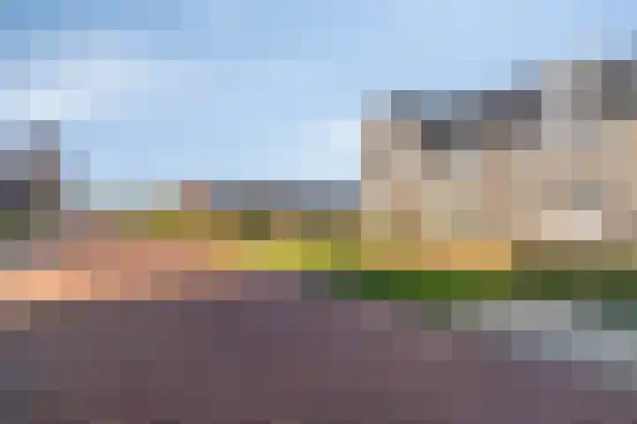 Hamsesticht 26 Dongen thumbnail 8