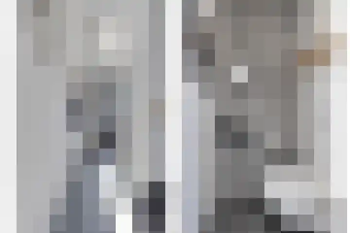 Hamsesticht 26 Dongen thumbnail 9