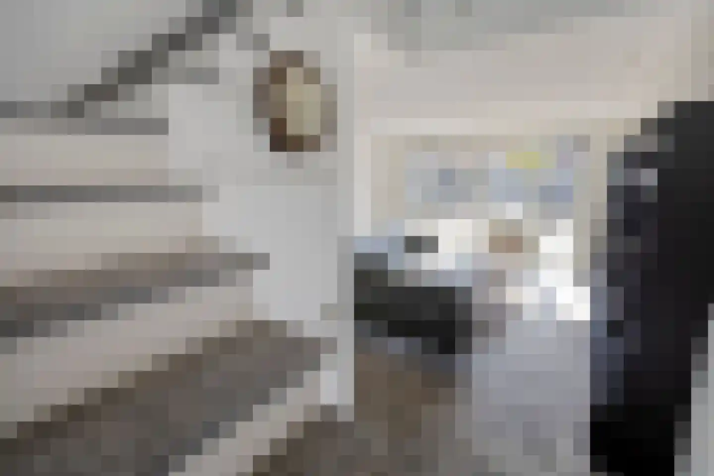 Hamsesticht 3 Dongen thumbnail 16