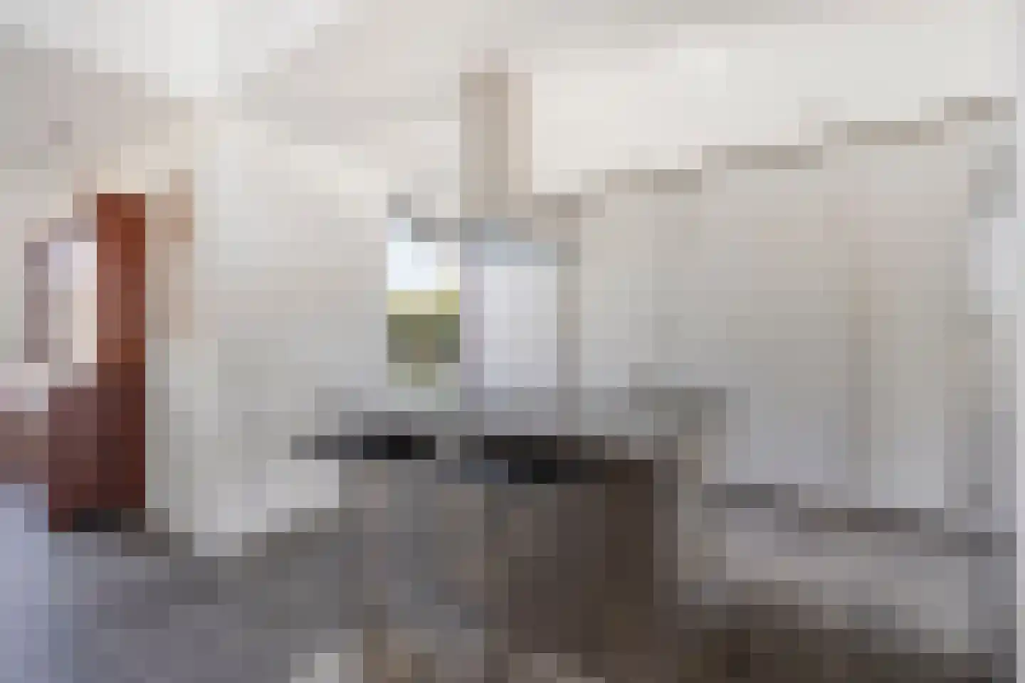 Hamsesticht 3 Dongen thumbnail 21