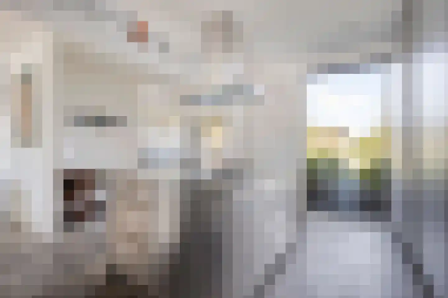 Hamsesticht 3 Dongen thumbnail 24
