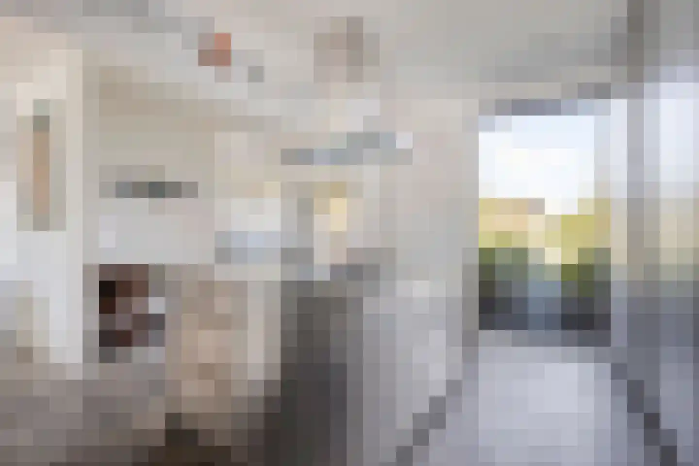 Hamsesticht 3 Dongen thumbnail 25