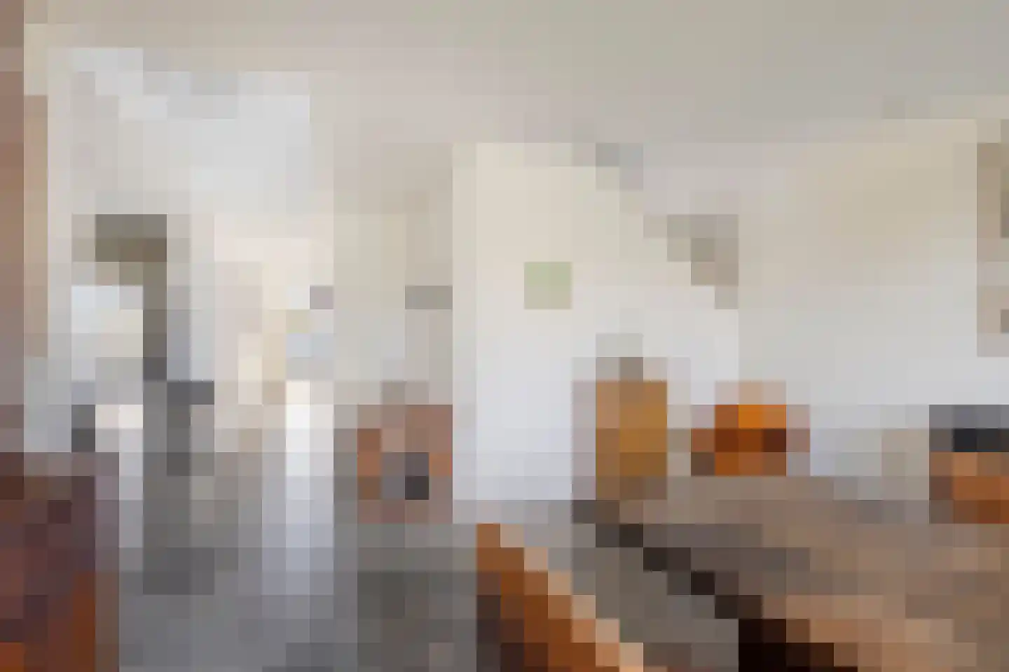 Hamsesticht 3 Dongen thumbnail 27