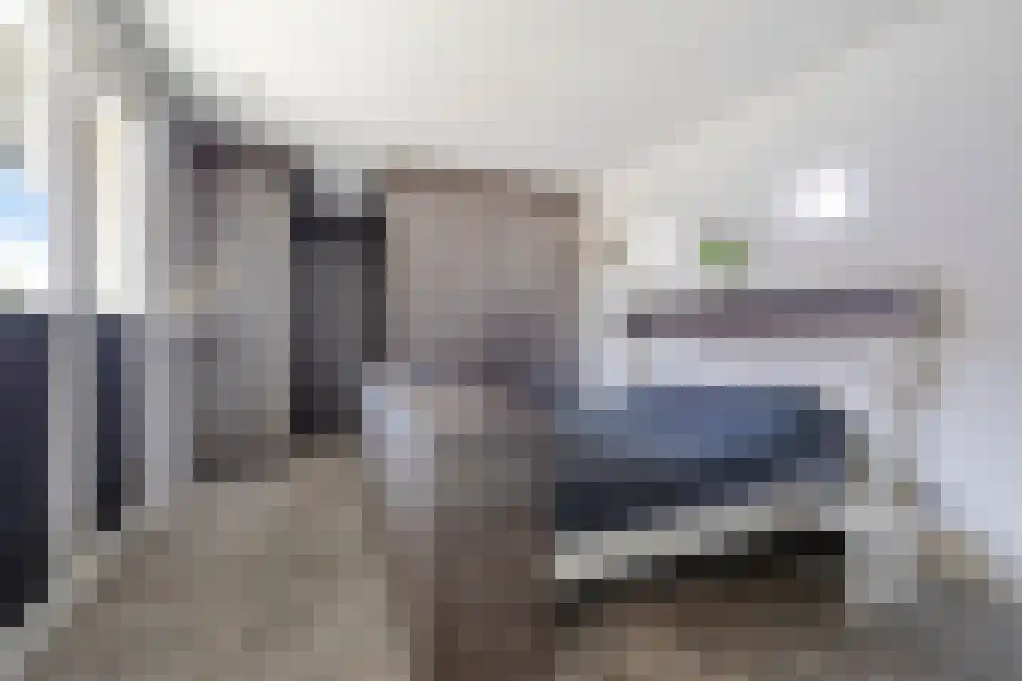 Hamsesticht 3 Dongen thumbnail 28