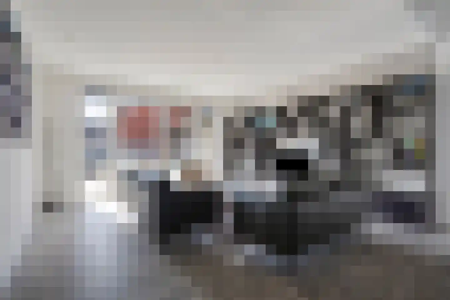 Hamsesticht 3 Dongen foto 3