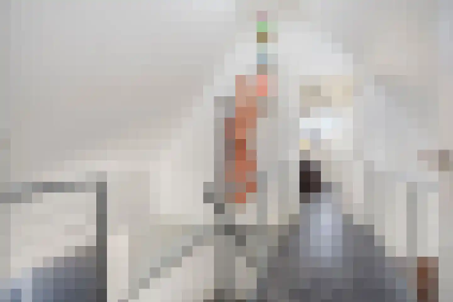 Hamsesticht 3 Dongen thumbnail 31