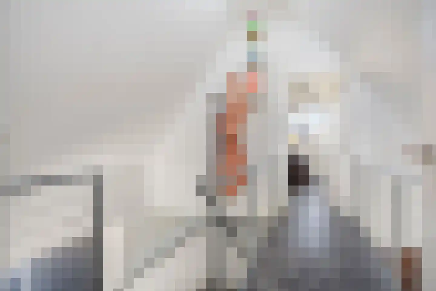 Hamsesticht 3 Dongen thumbnail 32