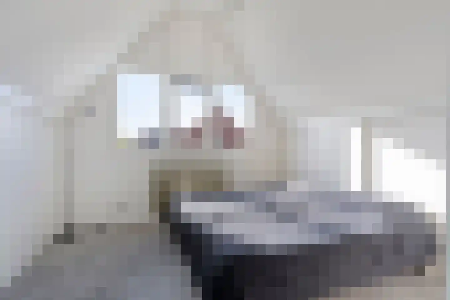 Hamsesticht 3 Dongen thumbnail 32