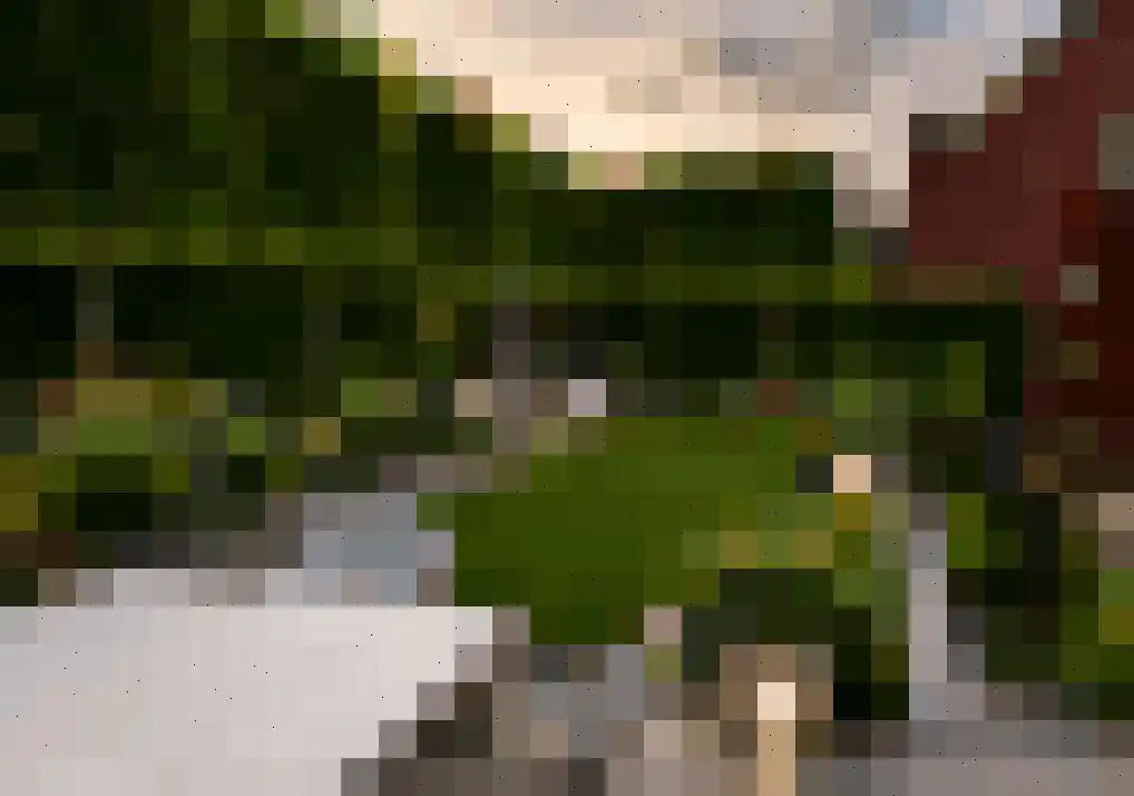 Hamsesticht 3 Dongen thumbnail 39