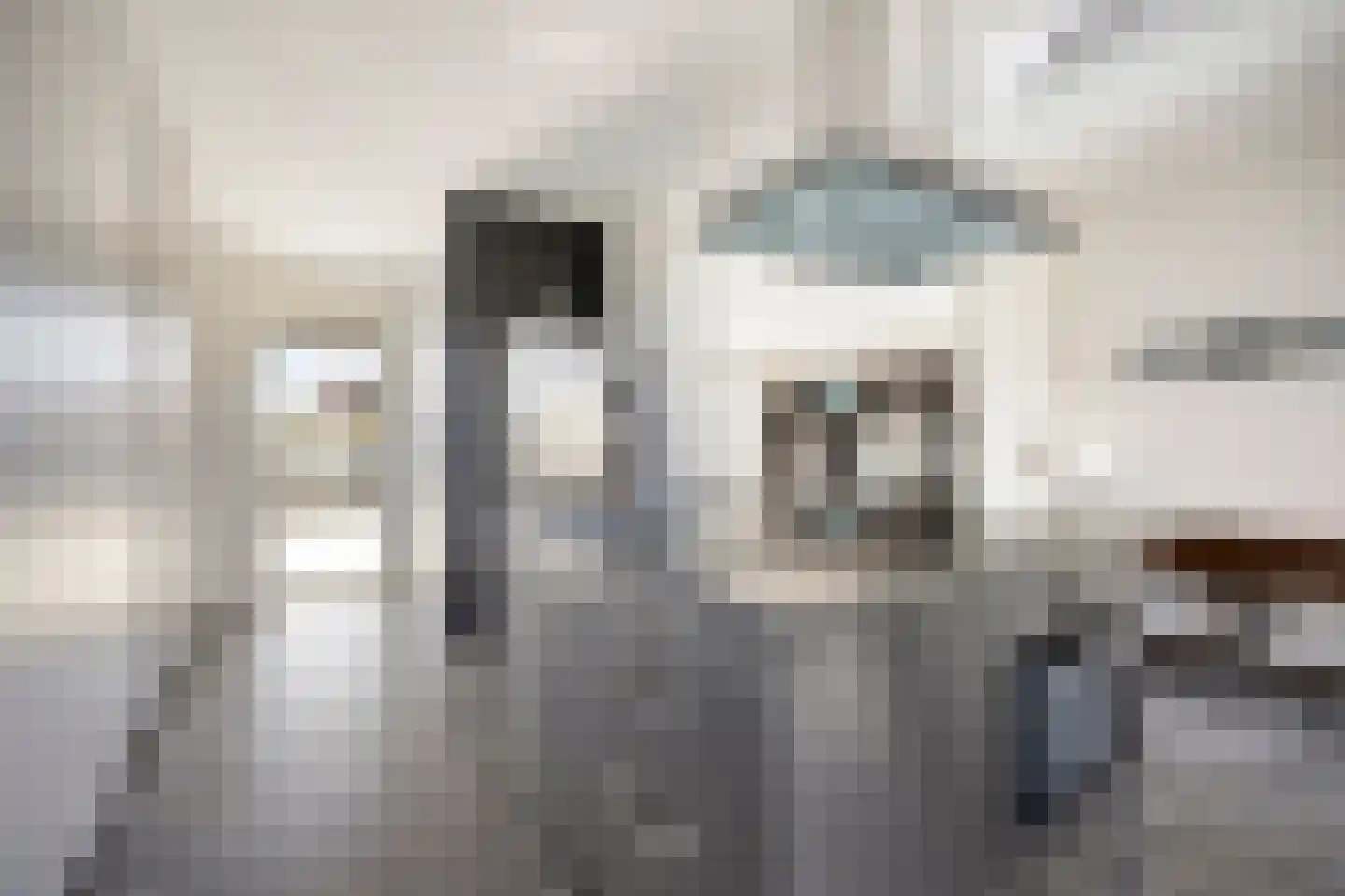 Hamsesticht 3 Dongen thumbnail 4
