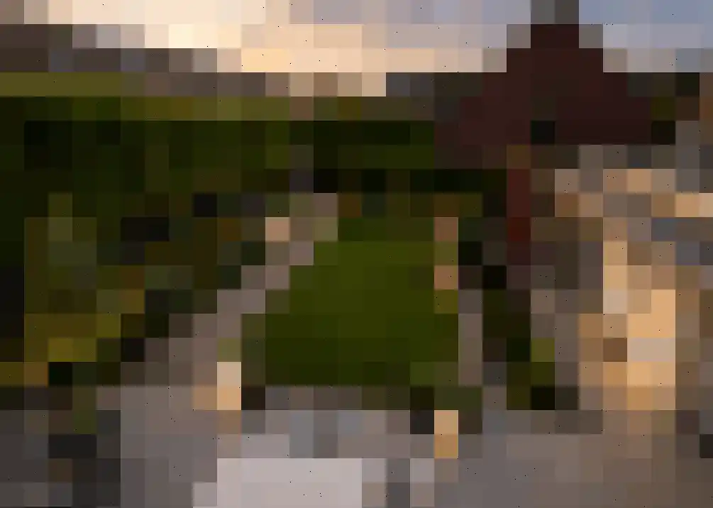 Hamsesticht 3 Dongen thumbnail 43